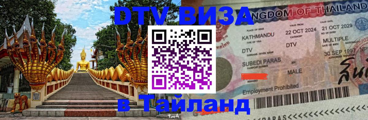 Оформление DTV визы под ключ: стоимость и тарифы, только загранпаспорт - 07.12.2025 